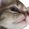 sideeye emote