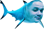 emoneyShark