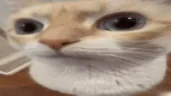 Uuhh emote