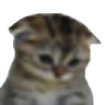 :c emote