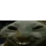 xddleave emote
