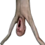 PLEH