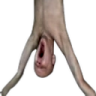 PLEH emote