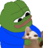 Catt emote