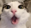 Pag emote