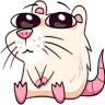 molchit emote