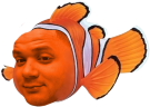 emoneyClownfish