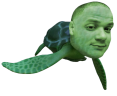 emoneyTurtle