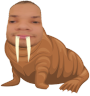 emoneyWalrus
