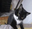 MAKEITSTOP emote