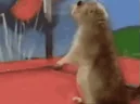 DramaticChipmunk emote