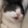 eepy emote