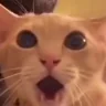 Oloco emote