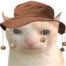 crikey emote