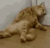 FF emote