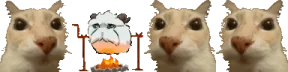 asado emote