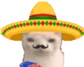 MuchoGato emote