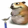 nathan emote