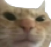 gatoChin emote