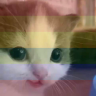 hehePride emote