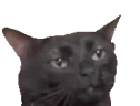 MeWhenAnitaFactDumps emote