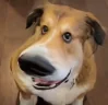 Keben emote