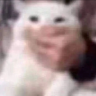 SHUTUP emote
