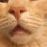 wher emote