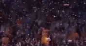 WeCelebrating emote