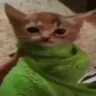 CatDespair emote