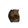 oiiaooiia emote