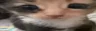and