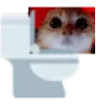 pooping emote