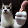 JOIA emote