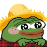 peepoShy emote