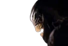 VenomLick emote