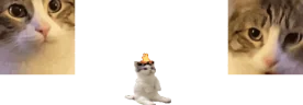 catsittingcomfortablybetweentwomeowersspittingfireonhisheadomgheisburninghelp emote