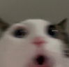 OoO emote