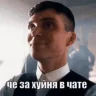 shelbyBASED emote