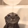 washed emote