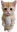 Standing