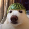 dawg emote