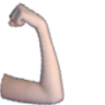 ppArm2 emote