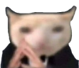 catBusiness emote