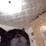 ot emote