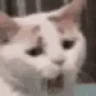 yawnig emote