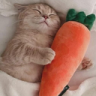 eepingwithacarrot emote