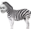 emoneyZebra emote