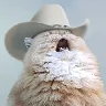 YEEHAAAAAAW emote