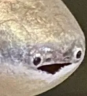 a emote